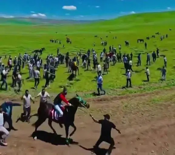 Erzurumdaki geleneksel at yarışlarında hayvanlara uygulanan şiddet tepki çekti