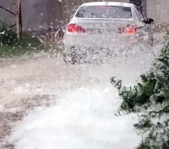 Erciş’te polenler yangın alarmı verdirdi