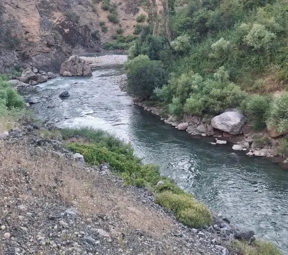 Bitlis'te serinlemek isteyen üç kardeşten biri hayatını kaybetti