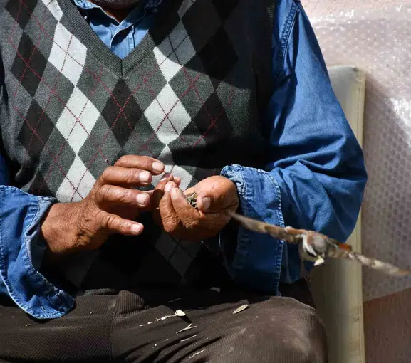Ardahanlı İrfan Aydın serçelere dost eli uzatıyor