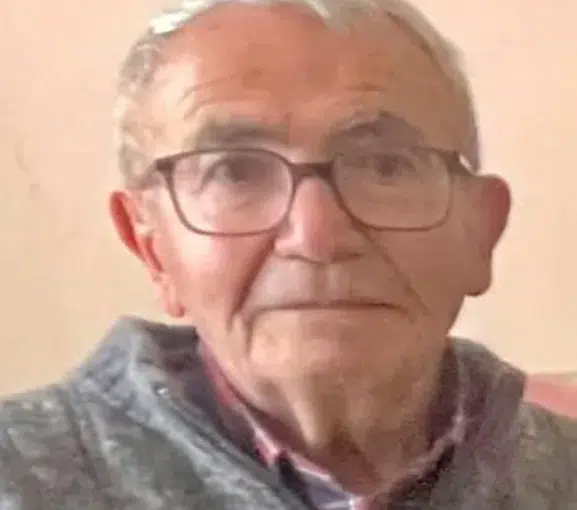 Beypazarı yaylasında mantar arayan 79 yaşındaki adam kayboldu