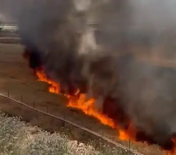 Suruç'ta bir kıvılcım çiftçinin 30 dönümlük emeğini yaktı