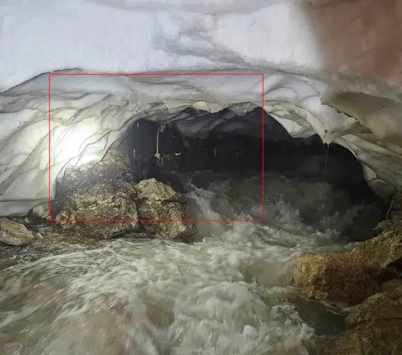 Hakkari’de kar mağarasına düşen tosunu ekipler saatler süren çalışmayla çıkardı