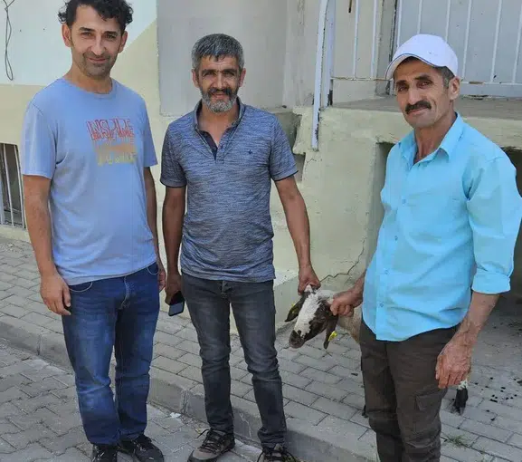 Nazilli’de kapı çalan kuzunun sırrı küpesinden çözüldü