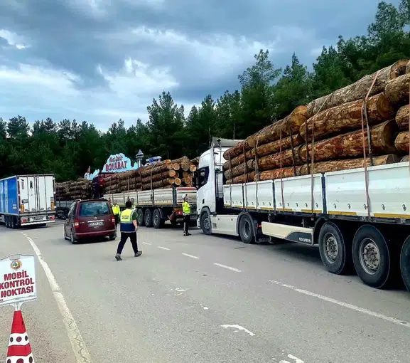Sinop yollarında orman kaçakçılığına geçit yok