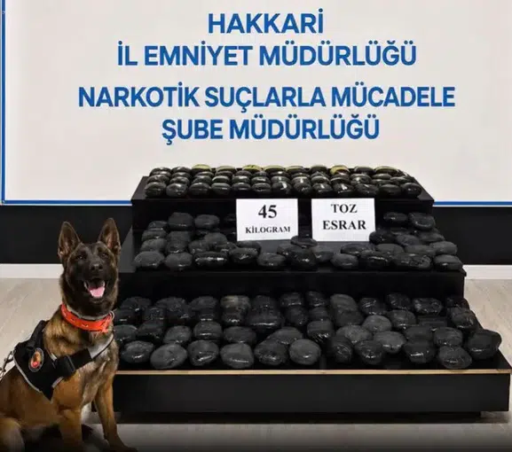 Yüksekova polisi aranan suçluyu 45 kilo uyuşturucuyla yakaladı