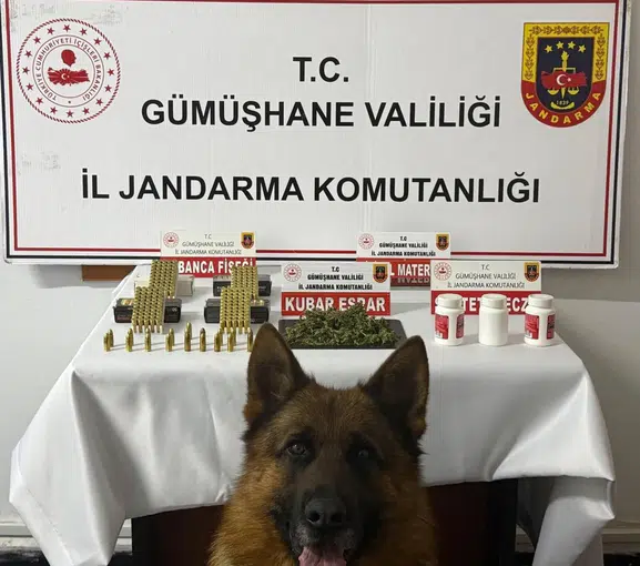 Gümüşhane'deki köy evine narkotik baskını