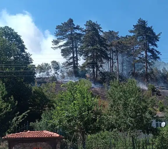 Sinop’ta çöpleri yakarken ormanı ateşe veren kişiye tutuklama