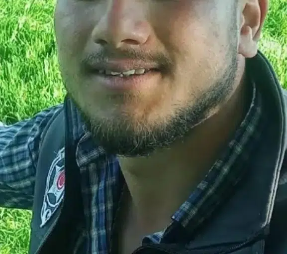 Köpek kavgası cinayetle bitti