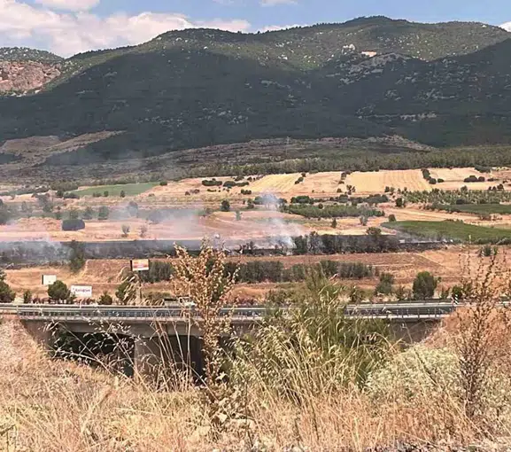 Burdur Gölhisar'da otluk alanda yangın paniği