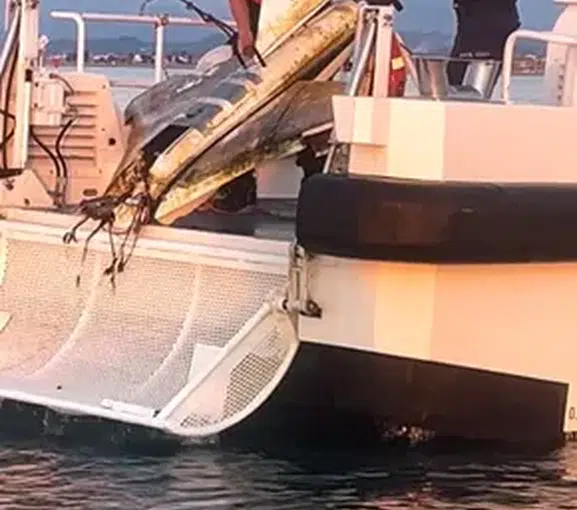 Sakarya kıyılarında denize düşmüş insansız hava aracı bulundu