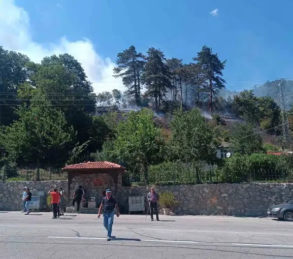 Sinop'ta çöpleri yakarken ormanı ateşe veren kişi yakalandı