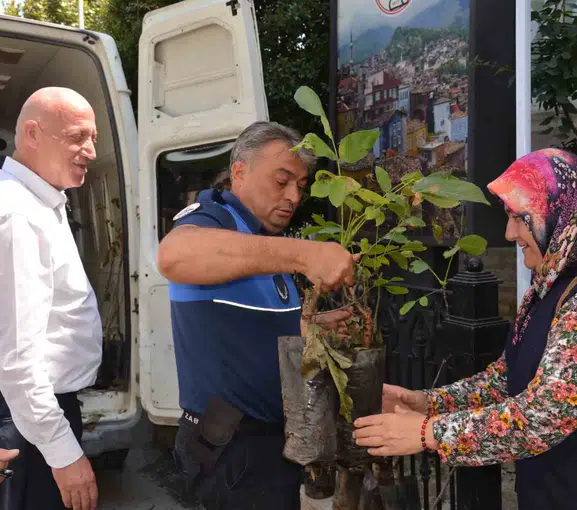 Babadağ Belediyesi'nden üreticiye ceviz desteği