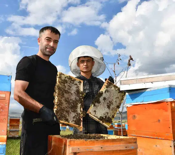 Ardahan’da bal hasadı mesaisi başladı