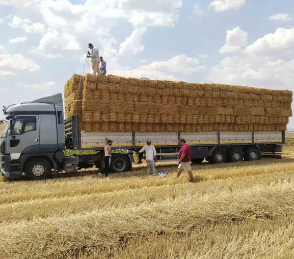 Tekirdağlı çiftçi Aydın’daki yangın mağdurlarına el uzattı