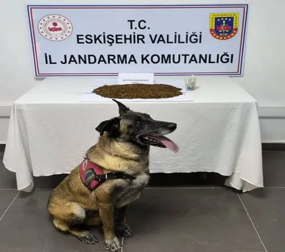 Eskişehir’de uyuşturucu operasyonu Bir kişi tutuklandı
