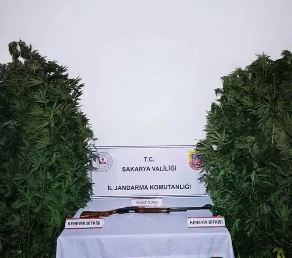 Sakarya jandarmasından zehir tacirlerine eş zamanlı darbe