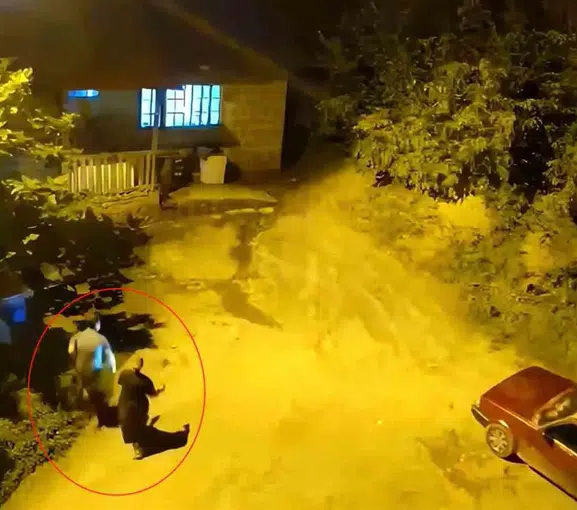 Artvin’de gece baskını Ayı sesi duyan anne ve oğlu eve kaçtı