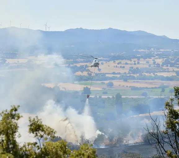 Çanakkale Ezine’de orman yangını korkuttu
