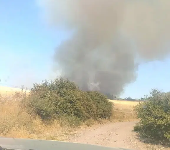 Çanakkale Ezine’de alevler ormana sıçradı