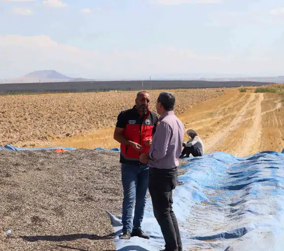 Karapınar'ın bereketli topraklarında hummalı mesai: Çiftçinin yüzü hasatla gülüyor