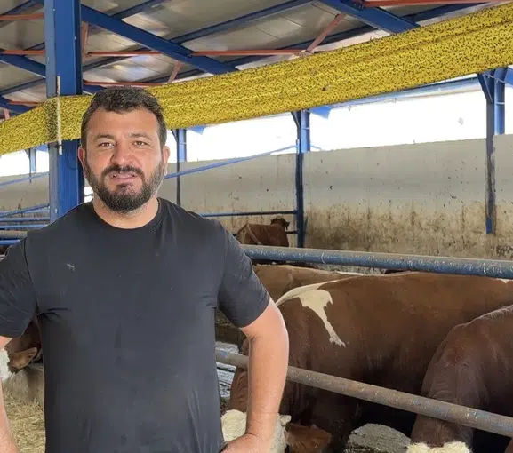 Besicinin zor anları: Kamyona binmemek için ahırı birbirine kattı