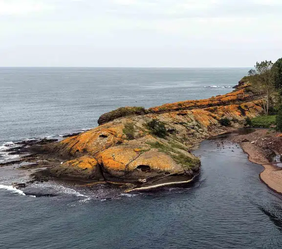 Karadeniz'in saklı devi: Yıllarca kimse fark etmedi, şimdi ziyaretçi akınına uğruyor