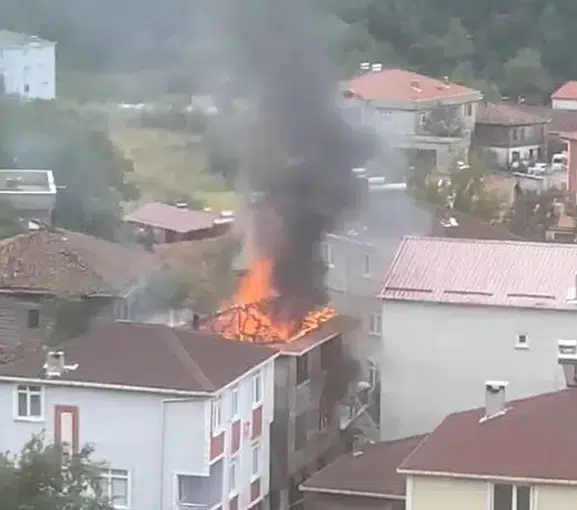 Cide'de bir yıllık emek küle döndü: Fındık hasadı alevlere teslim oldu