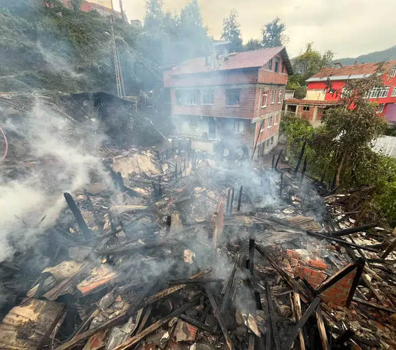 Kastamonu'da korku dolu anlar: Ahşap ev küle döndü, hayvanlar telef oldu
