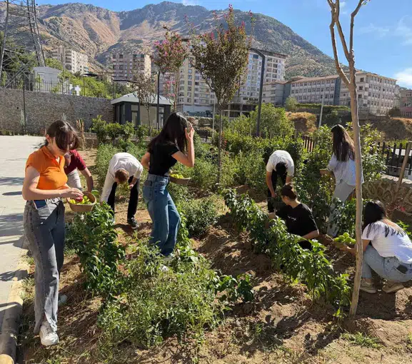 Kitapların gölgesinde organik tarım: Sason'da kütüphane bahçesi bereketi