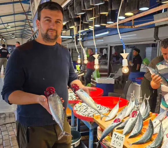 Bandırma Balık Hali'nde palamut bereketi: Vatandaşın gözdesi 150 liradan tezgâhlarda