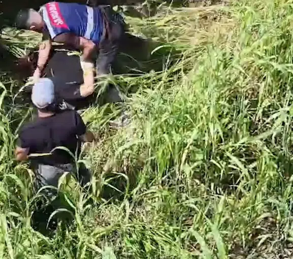 Jandarma dronla havadan iz sürdü: Mısır tarlasında kıskıvrak yakalandılar