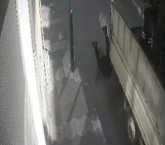 Tokat'ta yürekleri ağza getiren kaza: Kamyonet kasasından yola savruldu