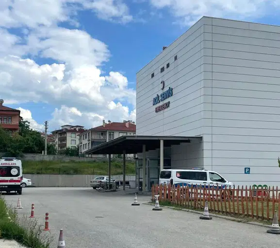 Taşköprü'de ormanda acı veda: Arı sokması 65 yaşındaki işçiyi hayattan kopardı