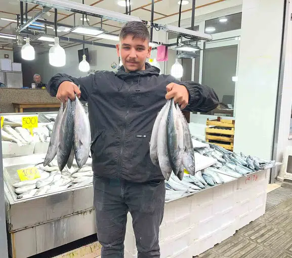 Sinop tezgahlarında palamut şöleni: Fiyatlar dip yaptı
