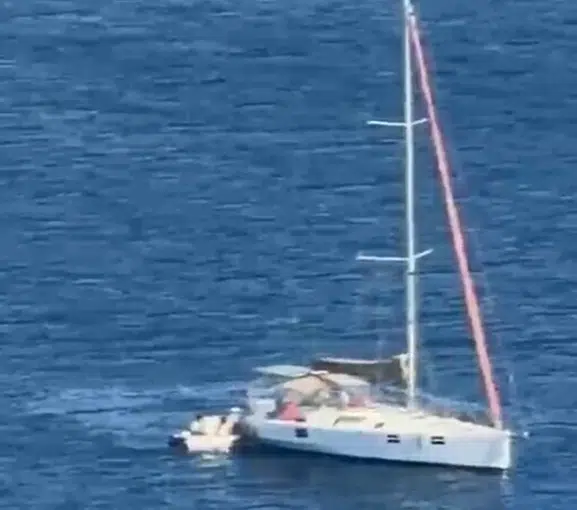 Bodrum açıklarında yelkenli operasyonu: Market alışverişi yaparken yakayı ele verdiler