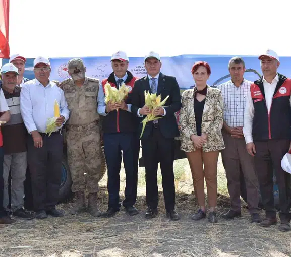 Tuşba'da Hasat Heyecanı: Mısır Tarlalarında Verim Rekoru Sevinci