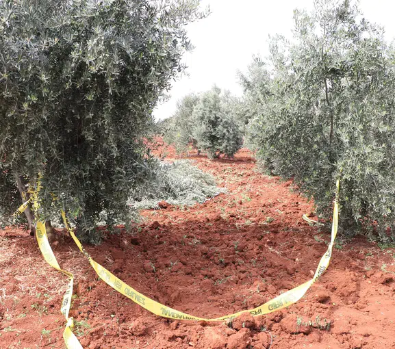 Kilis'te tarla mesaisi acı bitti: Traktörden düşen çiftçi hayatını kaybetti
