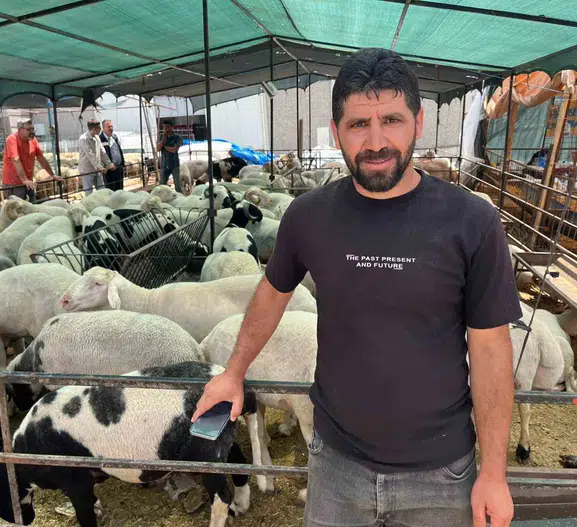 İzmirli kurbanlık ararken sosyal medyayı pazar yeri yaptı