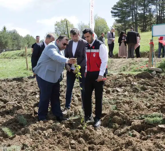 Kütahya’da boş hazine arazisi kiraz bahçesine dönüştü