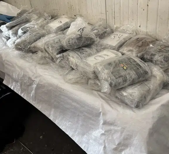 Kapıkule sınırında yakalanan tırın deposundan milyonlarca avroluk uyuşturucu çıktı