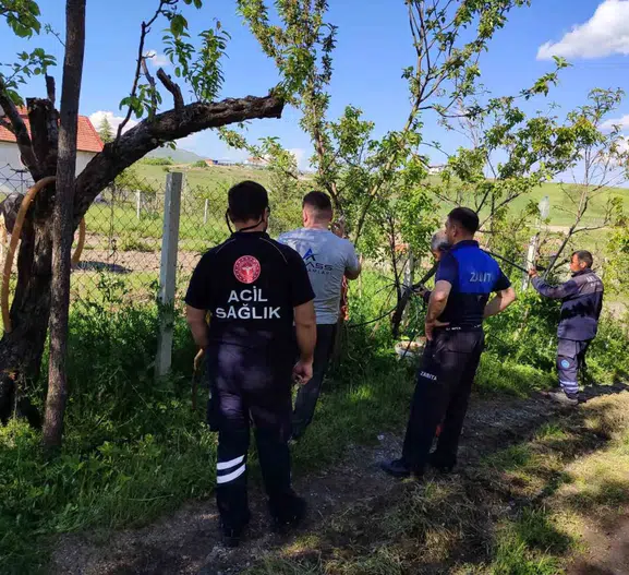 Akyurt sokaklarında kurbanlık dana kovalamacası