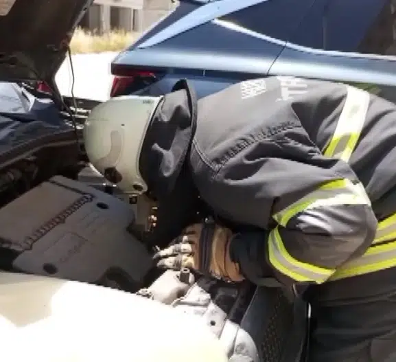 Arsuz’da araç motoruna sıkışan yavru kedi kurtarıldı