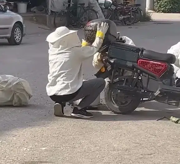 Bursa'da motosikleti ele geçiren arı sürüsü şaşırttı