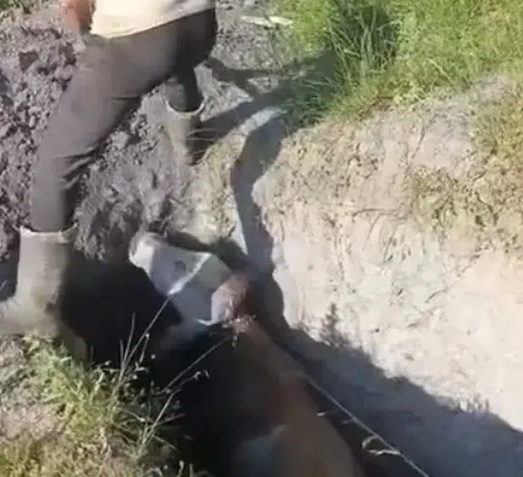 İnegöl'de definecilerin açtığı çukur tehlike saçıyor