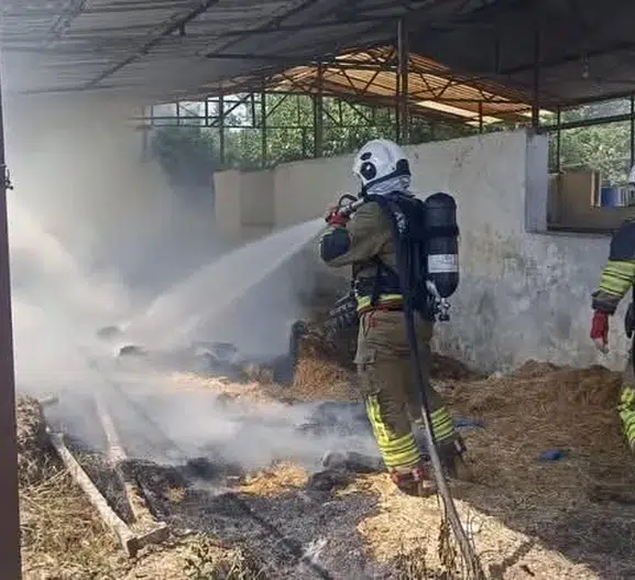 Hatay’da ahır yangını korkuttu