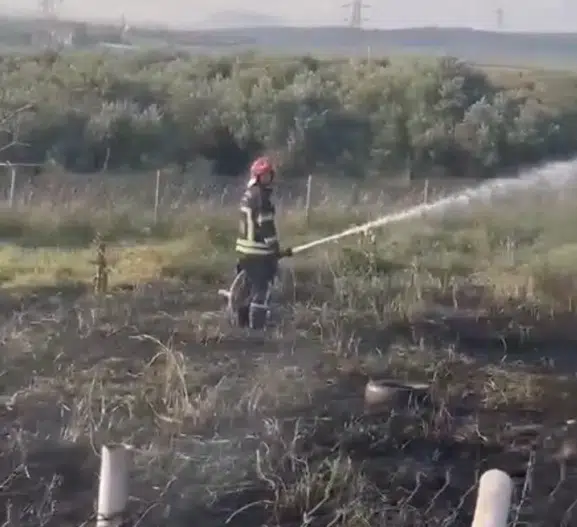 Osmaniye otoyolunda yanan tanker zeytin bahçesini küle çevirdi
