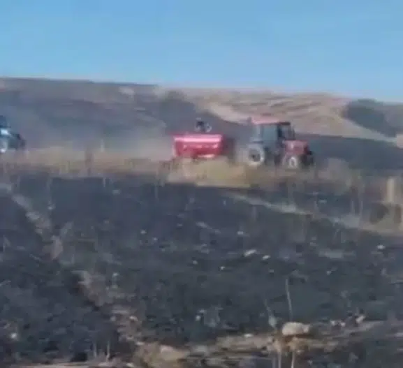 Siirt'te hasat paniği Biçerdöver tarlayı ateşe verdi