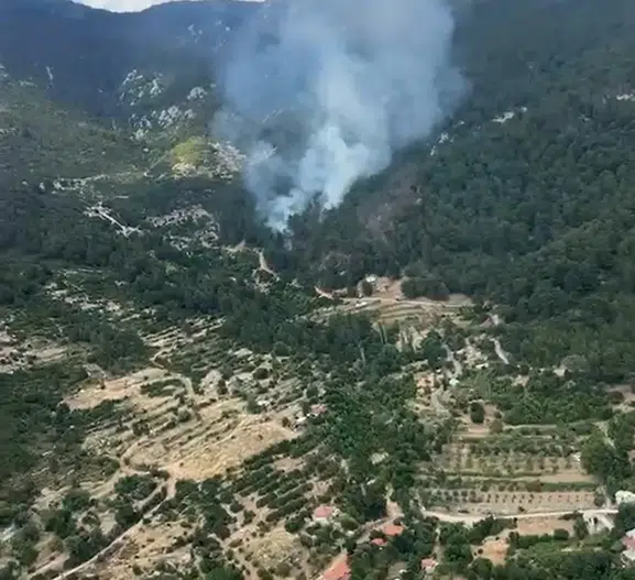 Kaş’ta orman yangını korkuttu ekipler hızla söndürdü