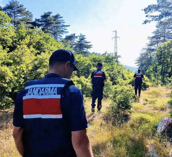 Çanakkale’de jandarma ormanlık alanları karış karış denetliyor